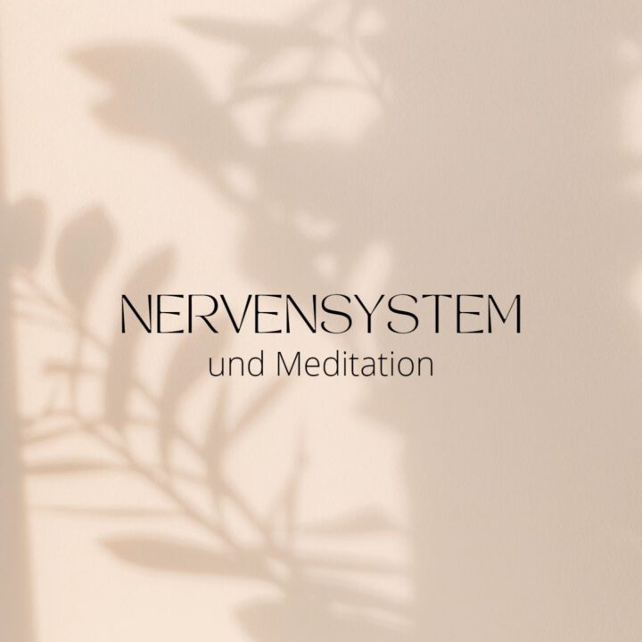 Nervensystem-Regulation und Meditation